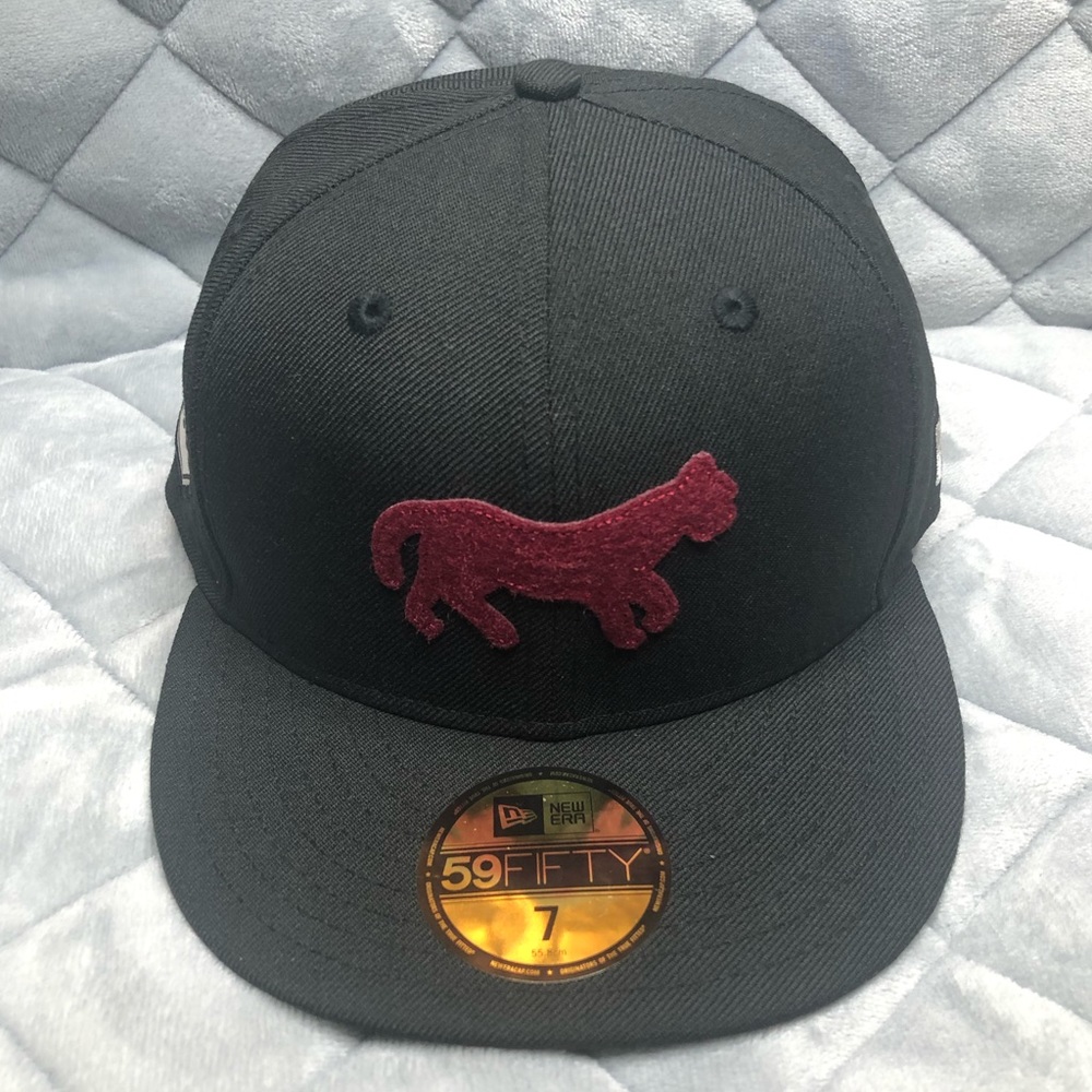 Detroit Tigers Hat